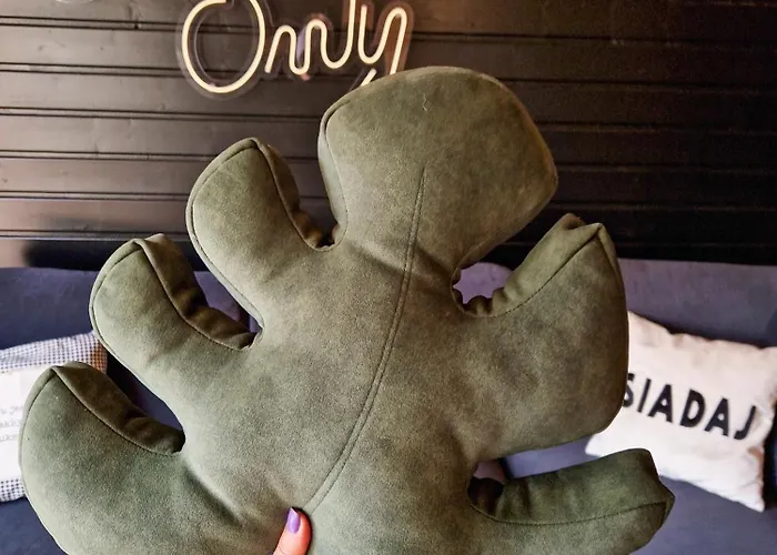 Dom wakacyjny Przystanek Wdzydze Perła Jezior